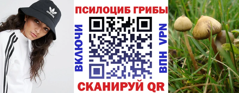 Псилоцибиновые грибы ЛСД  Жиздра 